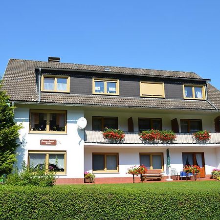 Fewo Wilke Willingen  Exteriör bild