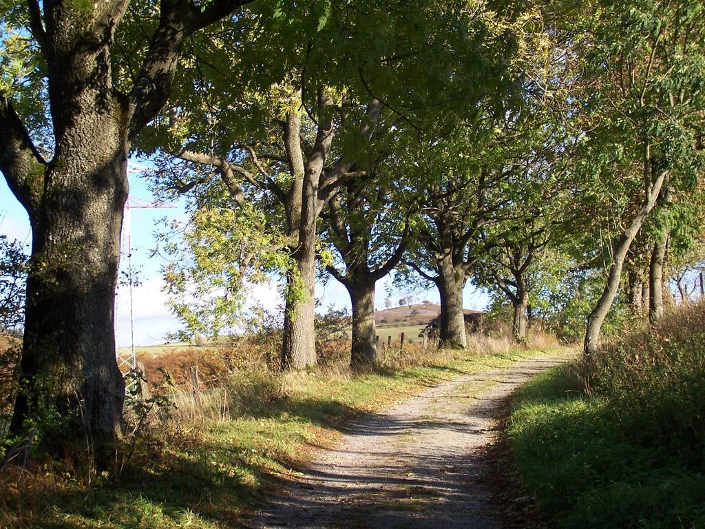 Fewo Wilke Willingen  Exteriör bild
