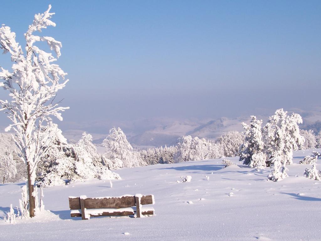 Fewo Wilke Willingen  Exteriör bild