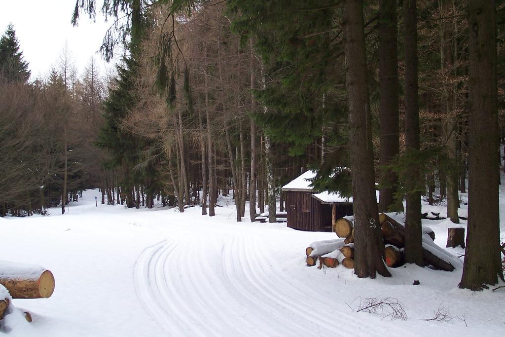 Fewo Wilke Willingen  Exteriör bild