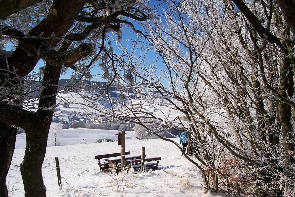 Fewo Wilke Willingen  Exteriör bild