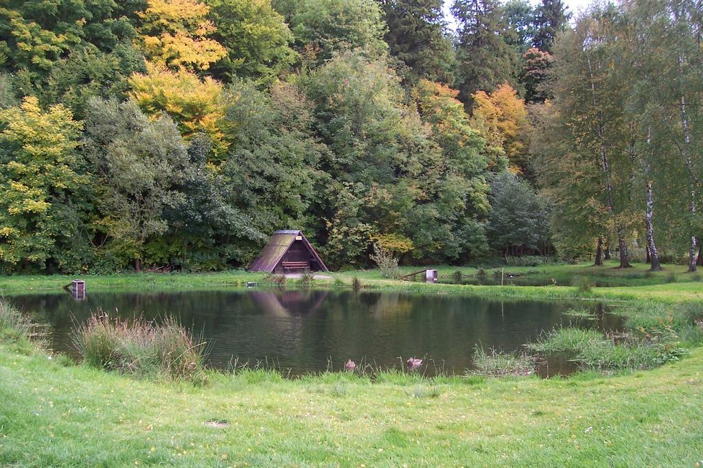 Fewo Wilke Willingen  Exteriör bild