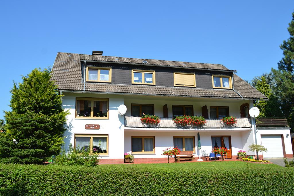 Fewo Wilke Willingen  Exteriör bild